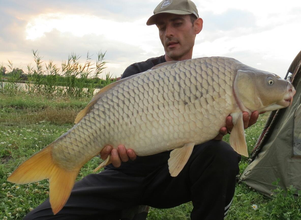 The best pictures of 2013 - 9710-kg-20130627-derekegyhaz---2100--1.jpg